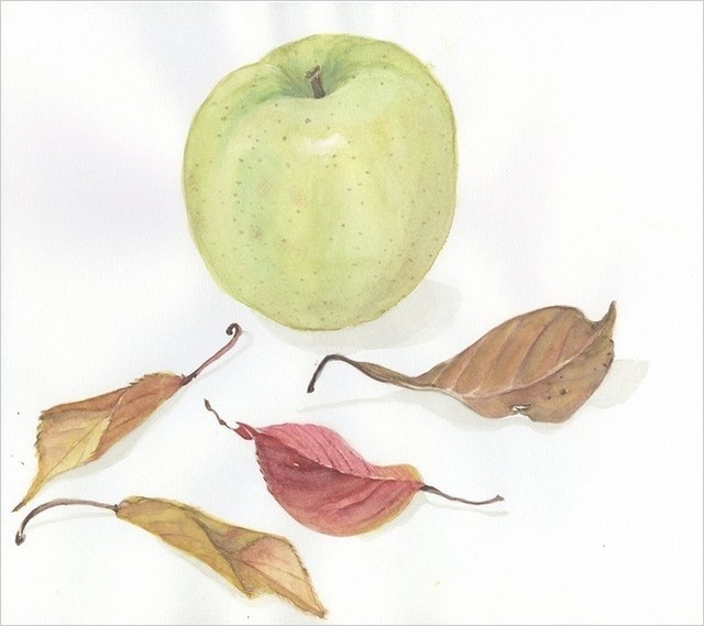 09：りんごと葉.jpg